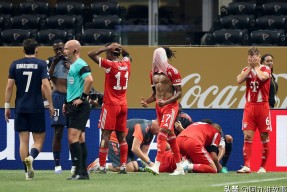 开云-历届阿森纳队员名单