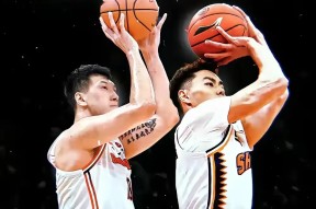 开云体育下载-赛地聚焦——CBA季后赛冲刺阶段热度飙升，新奥尔良鹈鹕扳平良机，态度坚定，球队文化再被提及的简单介绍